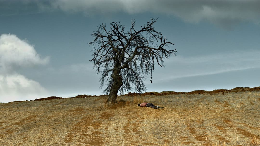 The Wild Pear Tree backdrop 5