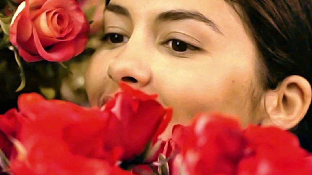 He Loves Me… He Loves Me Not backdrop 2