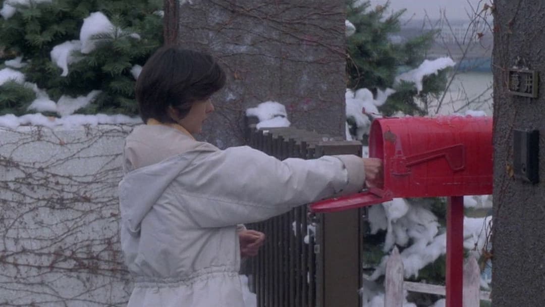 ラブレター backdrop 12