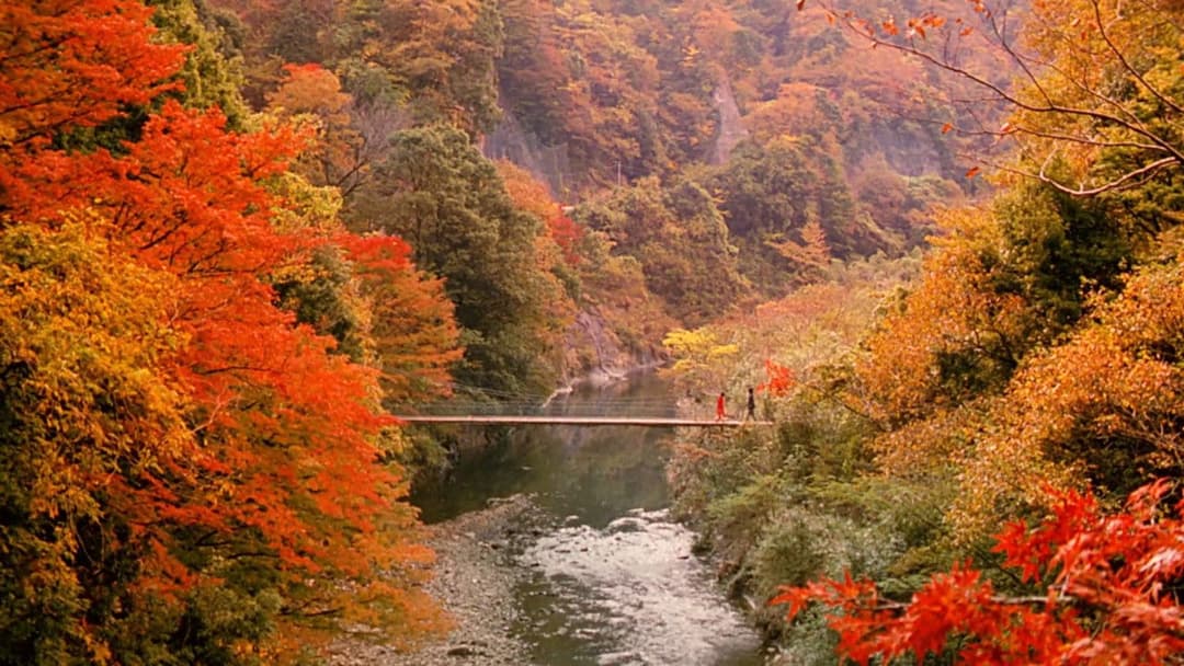 Ляльки backdrop 8