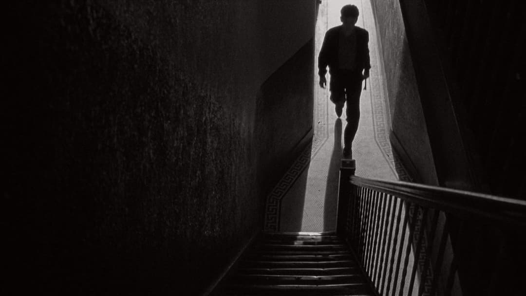 Стан несамовитості