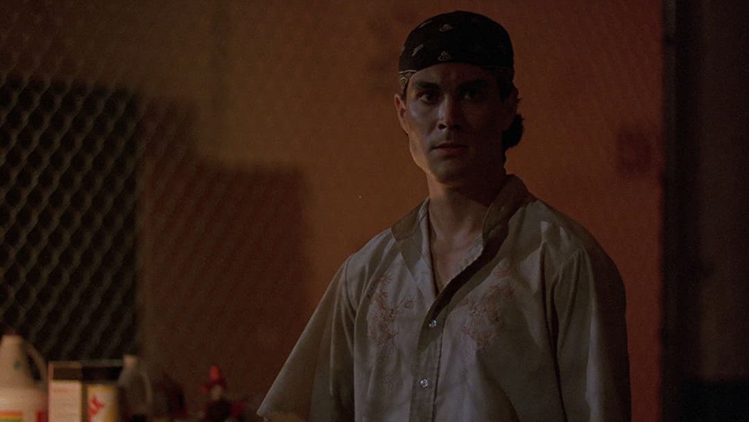 Rapid Fire backdrop 11