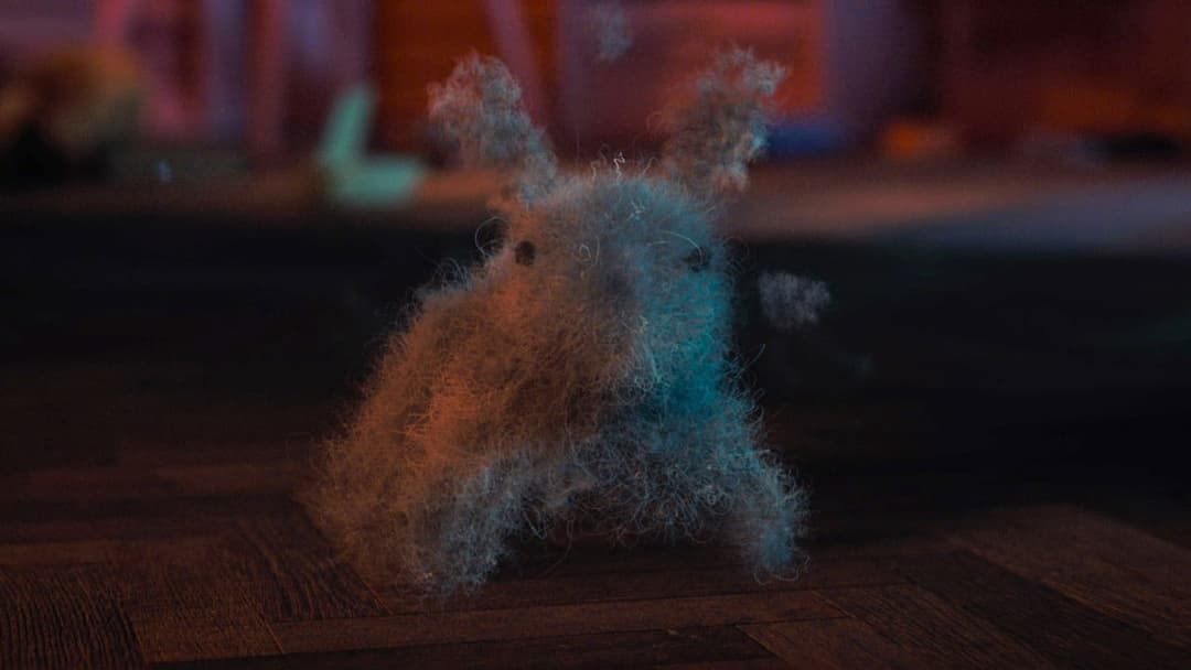 Dust Bunny backdrop 13