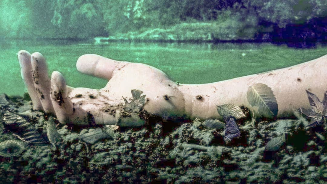 Mean Creek backdrop 3