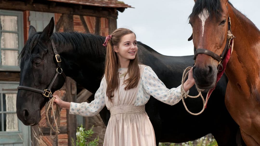 War Horse backdrop 15