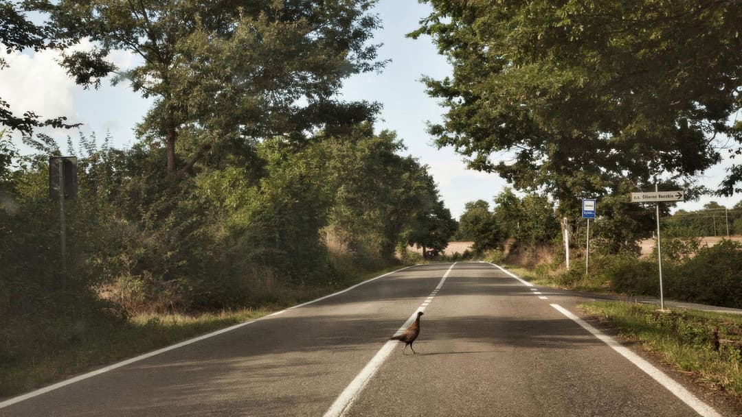 Le meraviglie backdrop 10