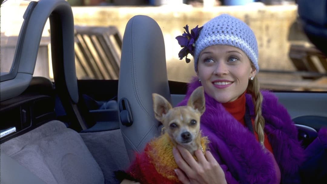 Білявка в законі backdrop 18