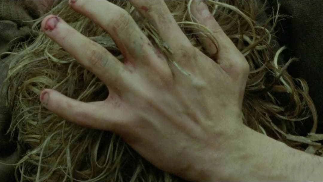 Tom at the Farm backdrop 19