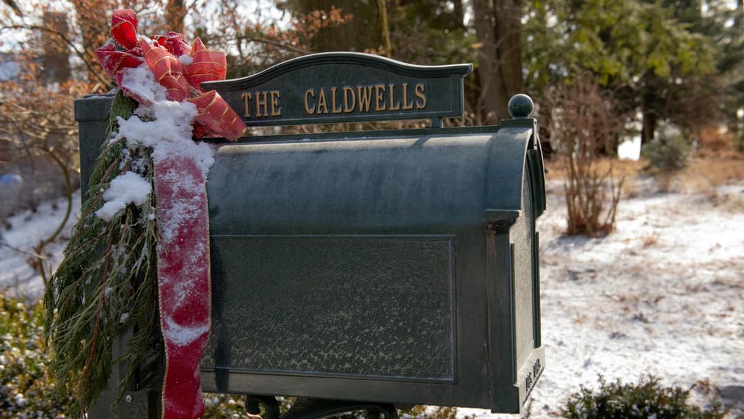 Happiest Season backdrop 20