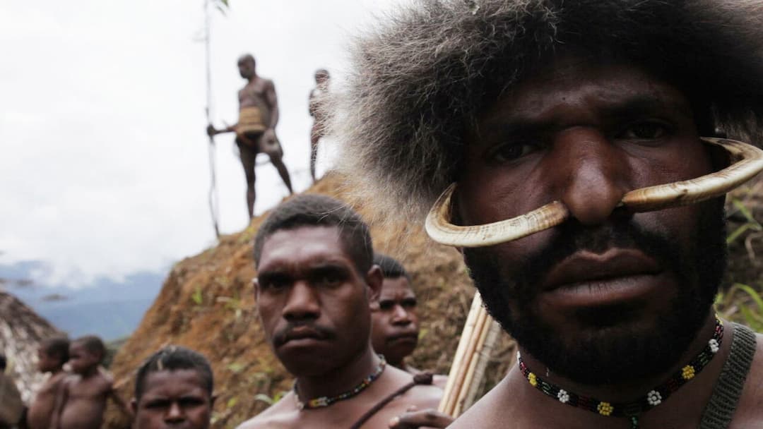 The Salt of the Earth backdrop 6