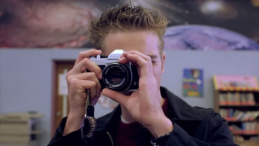 Elephant backdrop 14