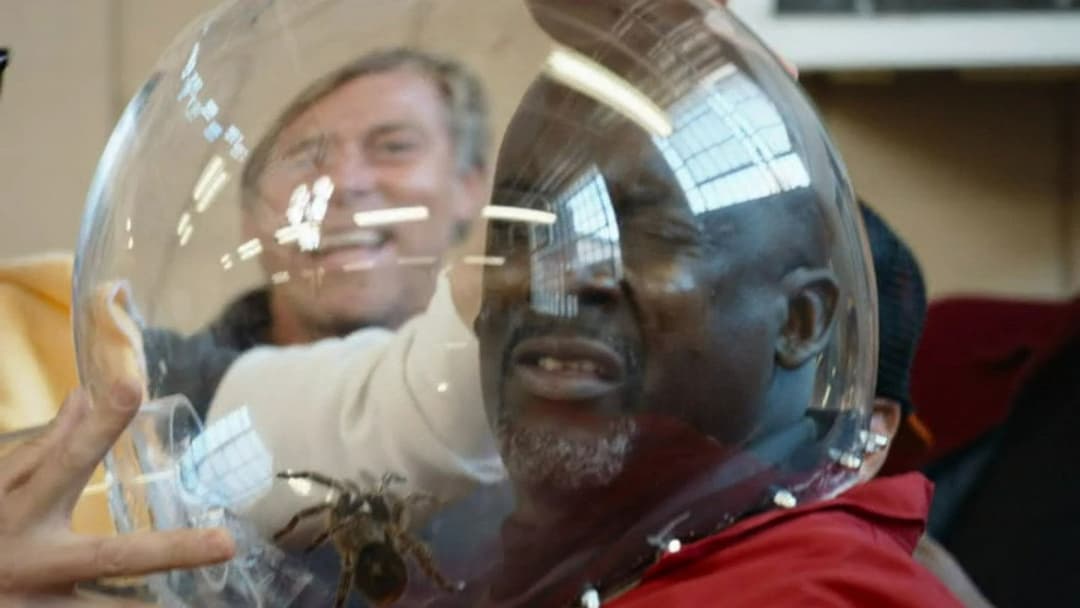 Jackass Forever backdrop 14