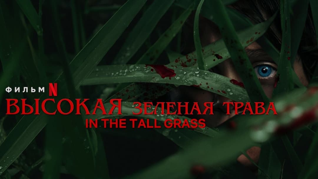 Im hohen Gras backdrop 9