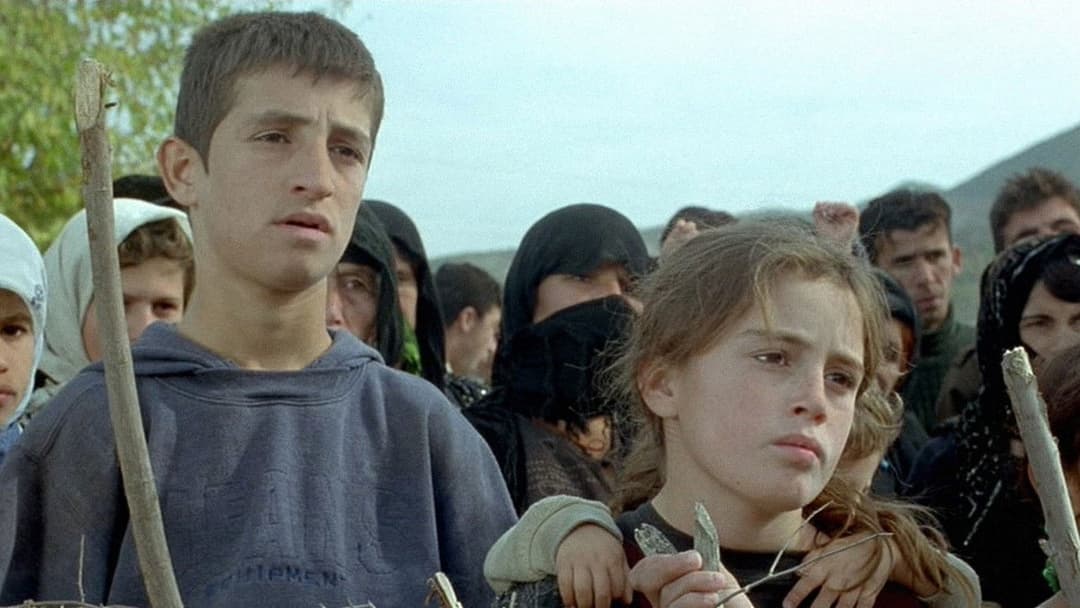 Turtles Can Fly backdrop 9