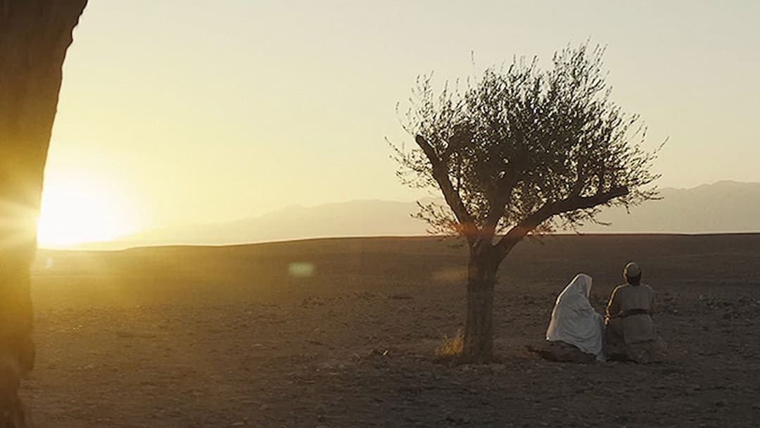 Zero A.D. backdrop 1