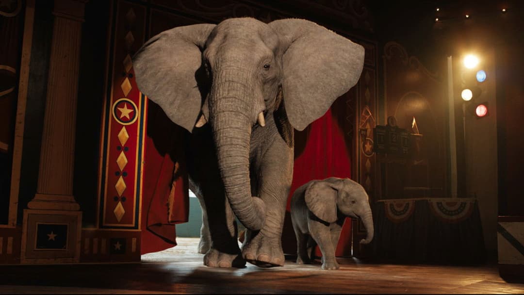 Айван, єдиний і неповторний backdrop 13