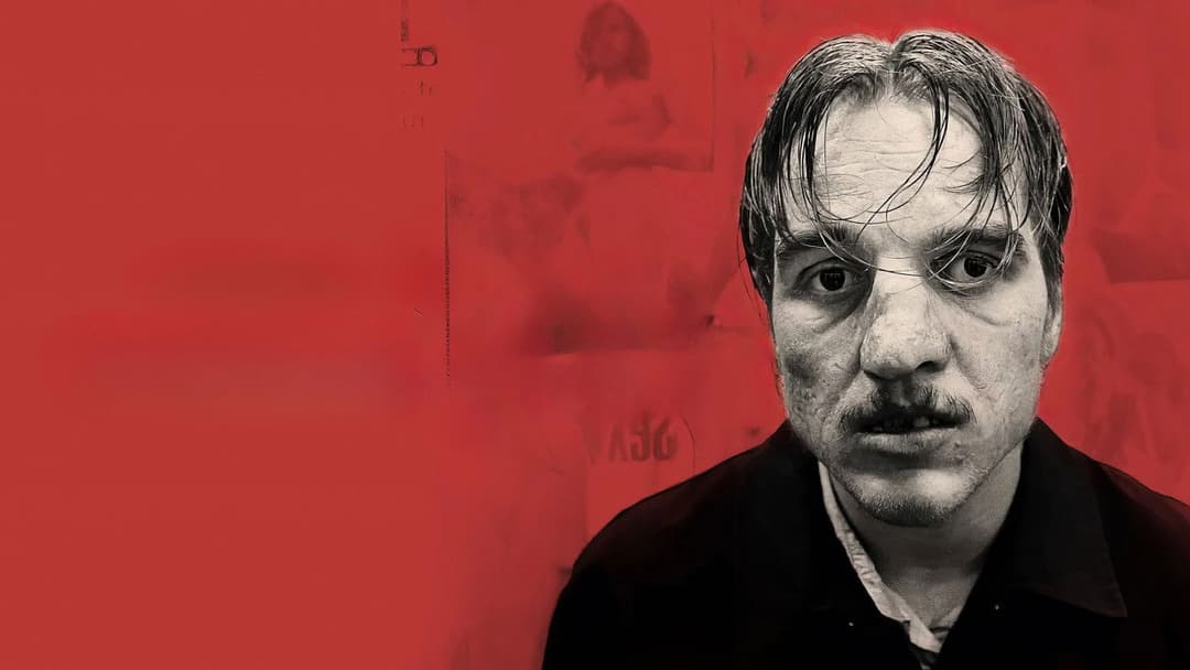 Золота рукавичка backdrop 6