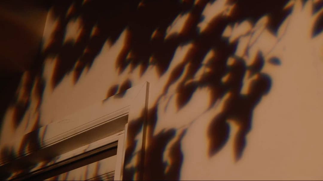 Bo Burnham: Inside backdrop 16