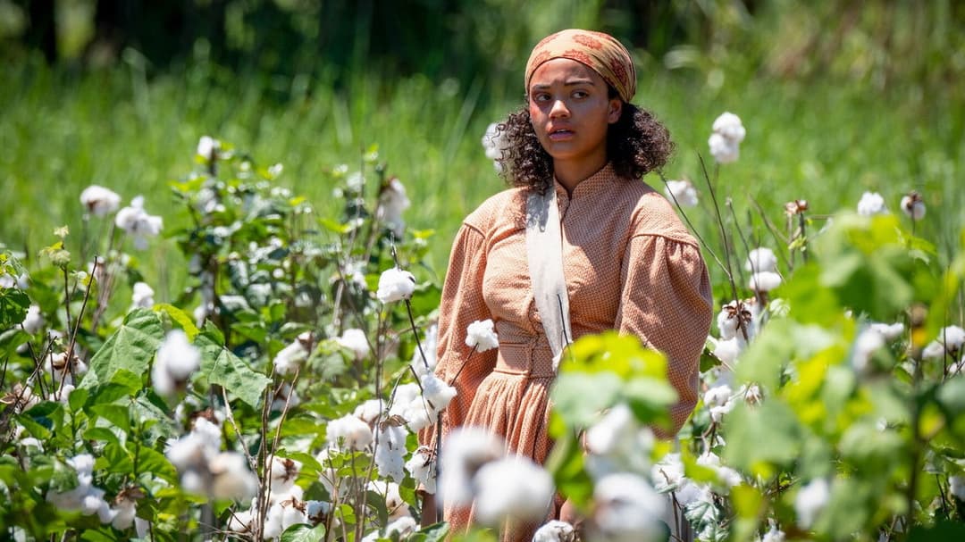 Antebellum backdrop 15