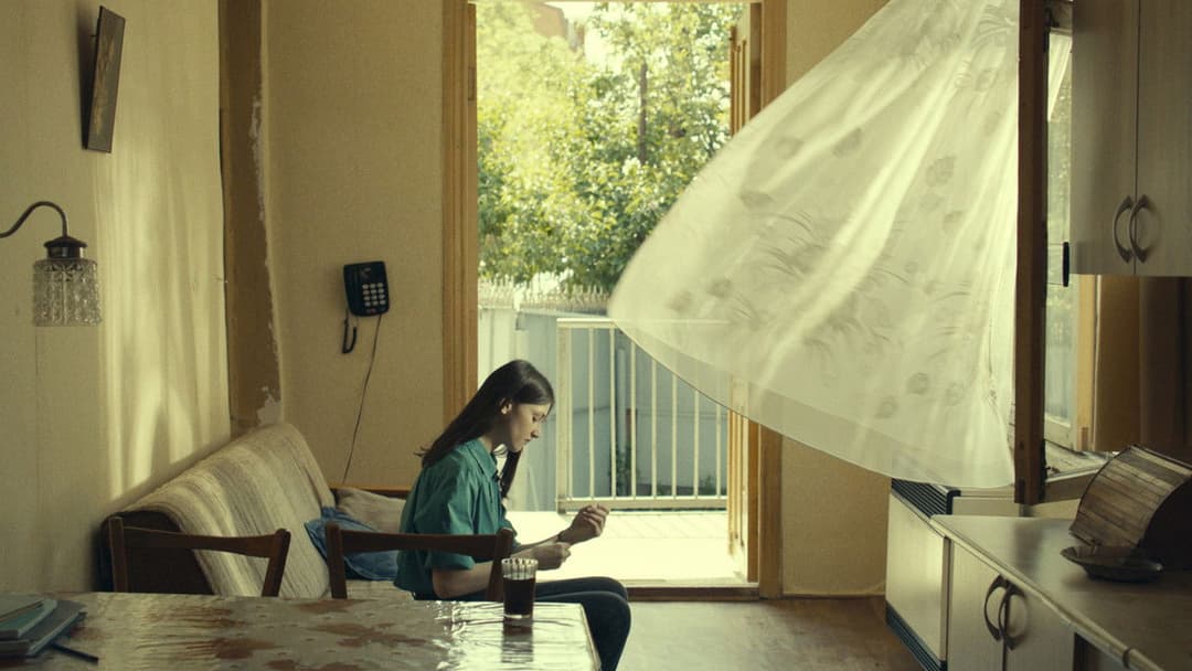 What Do We See When We Look at the Sky? backdrop 5