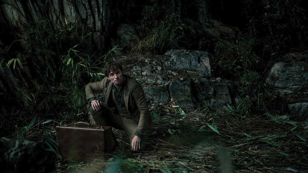 Fantastic Beasts: The Secrets of Dumbledore backdrop 17