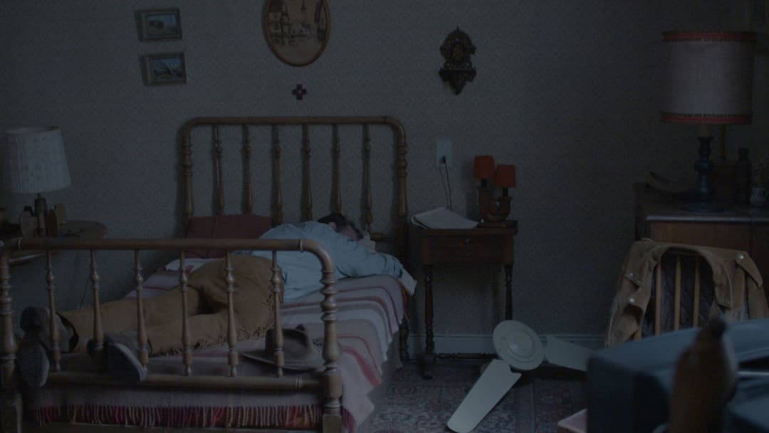 Оленяча шкіра backdrop 7