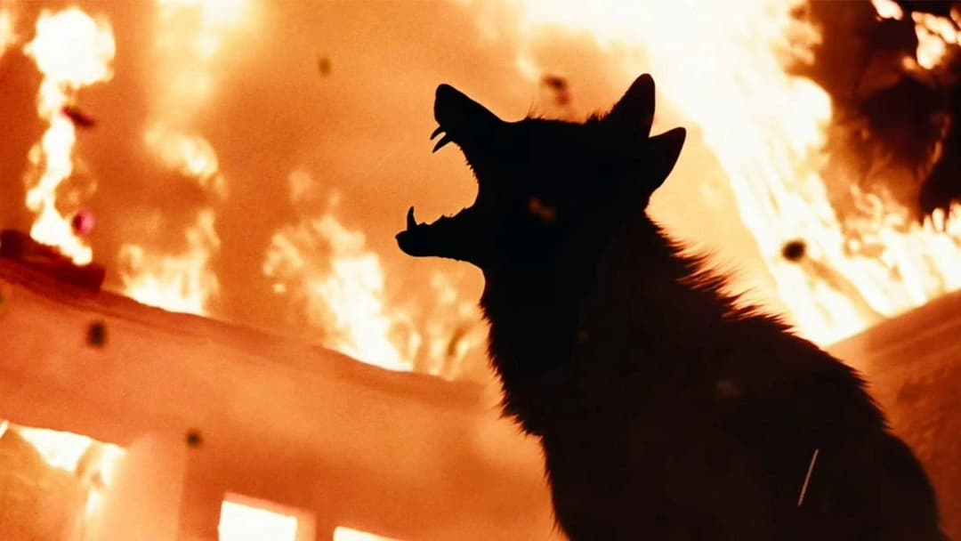 День койота backdrop 8