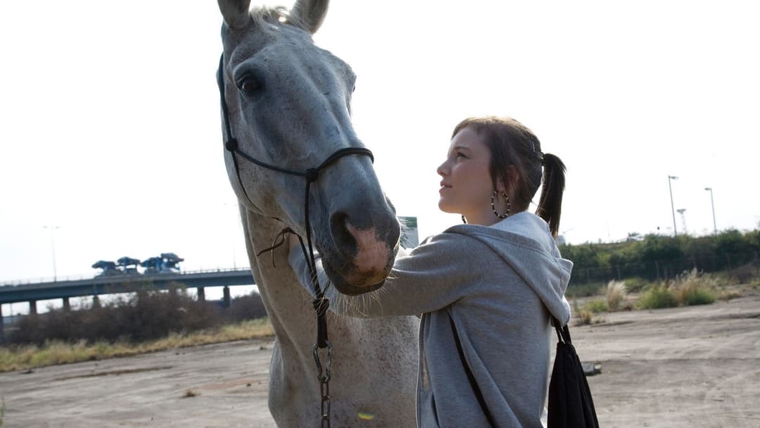 Fish Tank backdrop 4