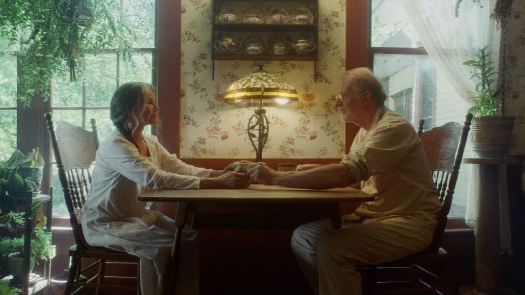 Переслідувач backdrop 14