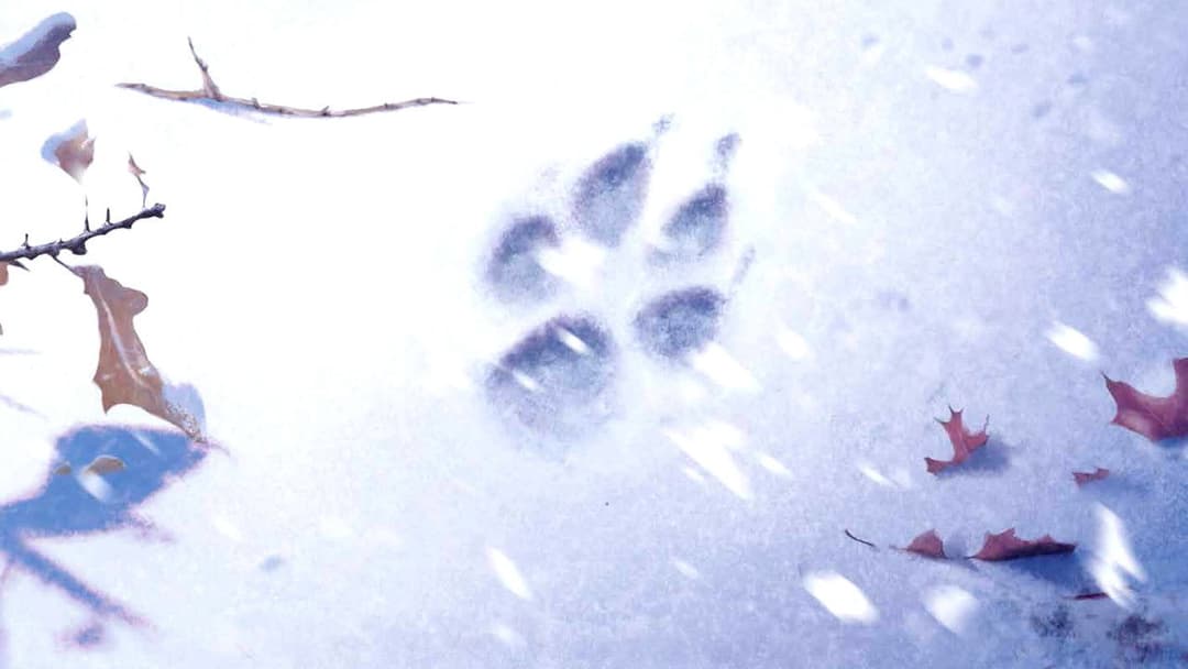 Die Abenteuer von Wolfsblut backdrop 9