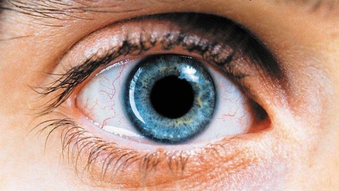 Requiem for a Dream backdrop 6