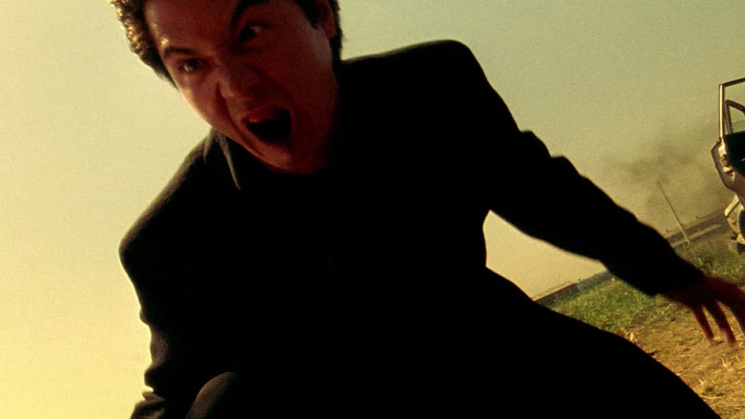 Dead or Alive backdrop 12