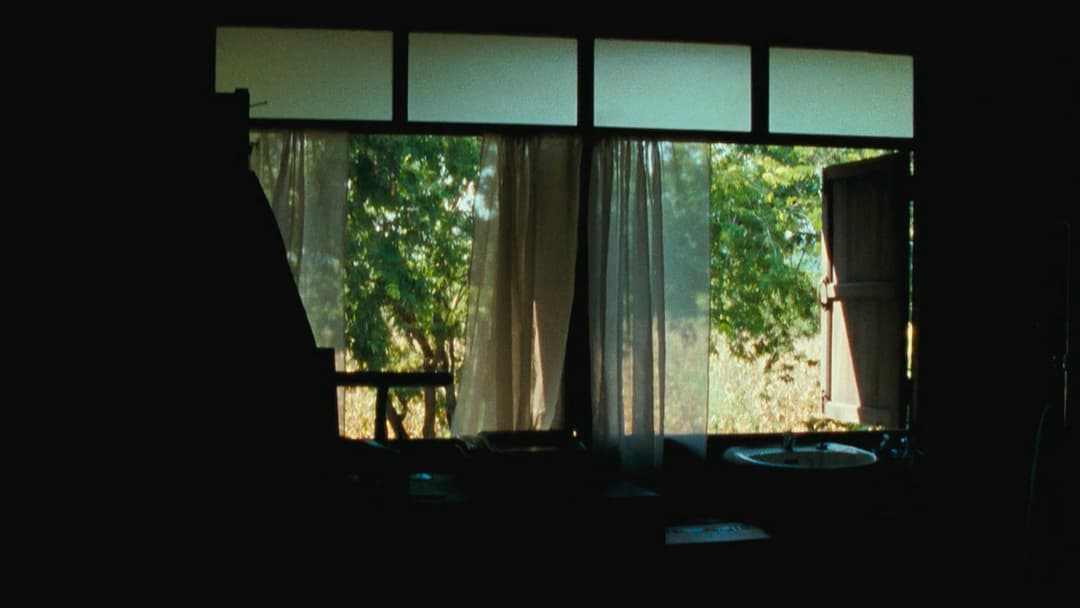 Uncle Boonmee Who Can Recall His Past Lives backdrop 4