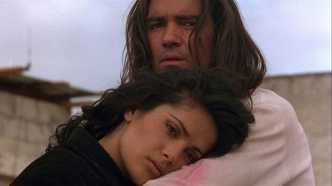 Відчайдушний backdrop 18