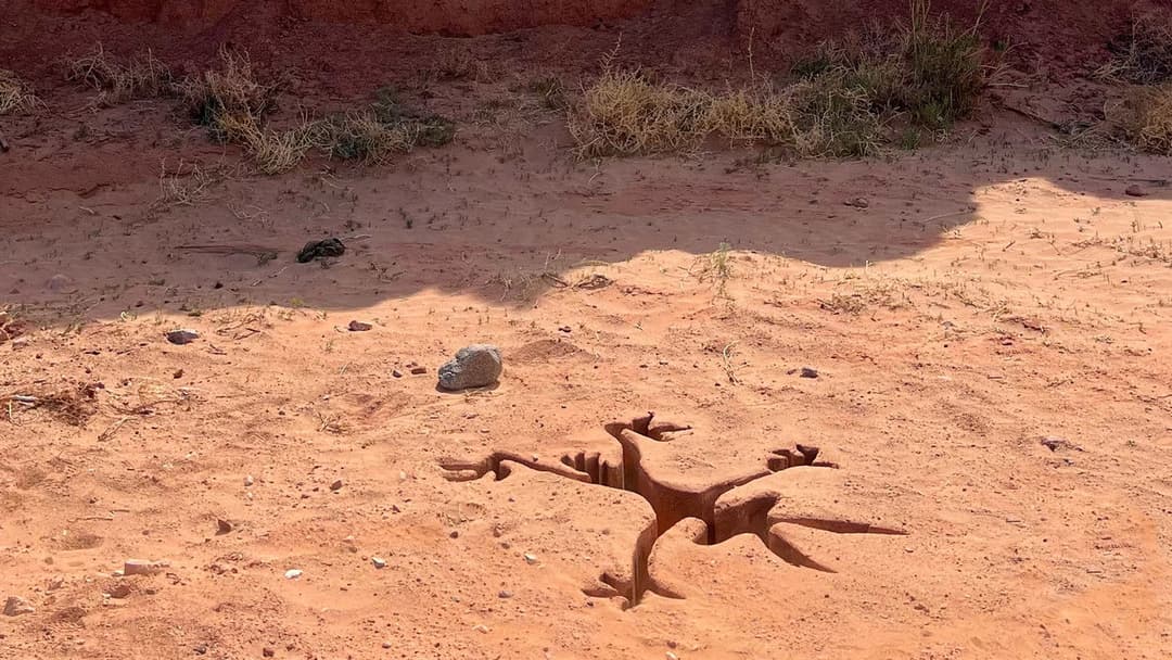 Coyote vs. Acme backdrop 4