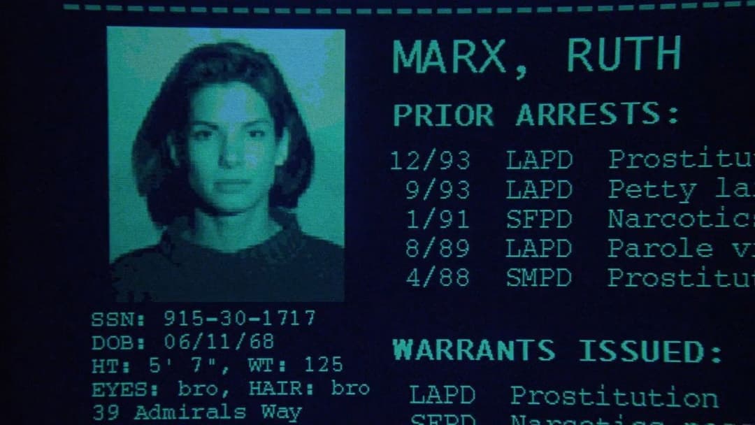 Das Netz backdrop 12