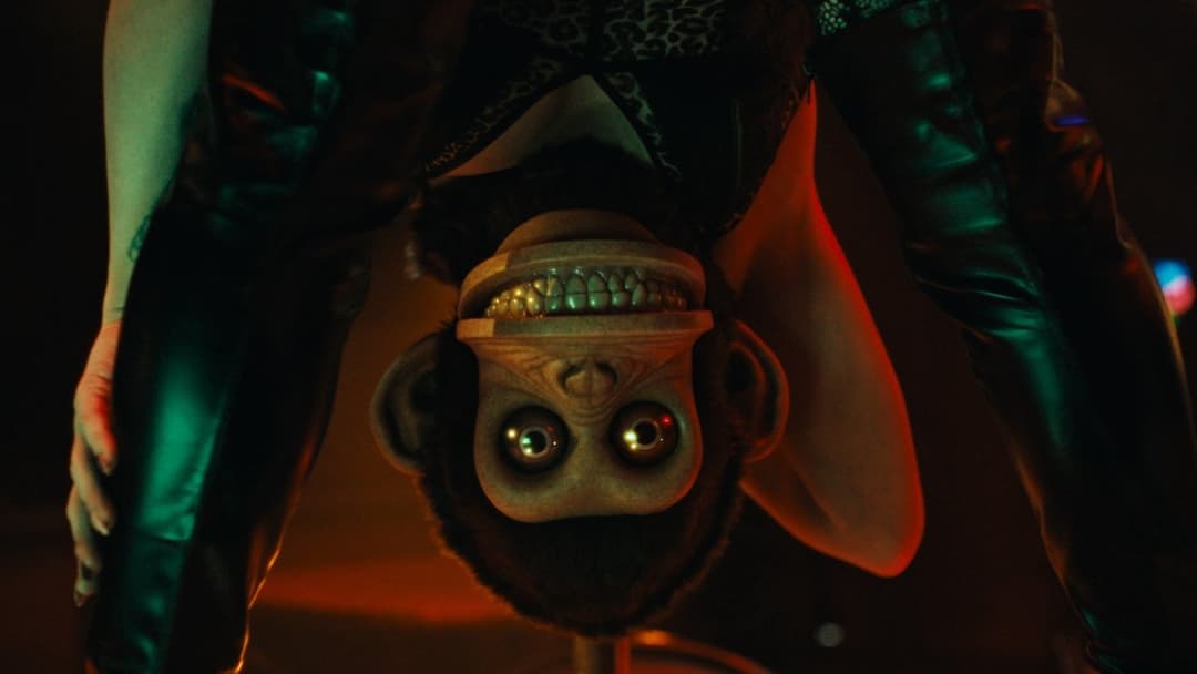 The Monkey backdrop 12