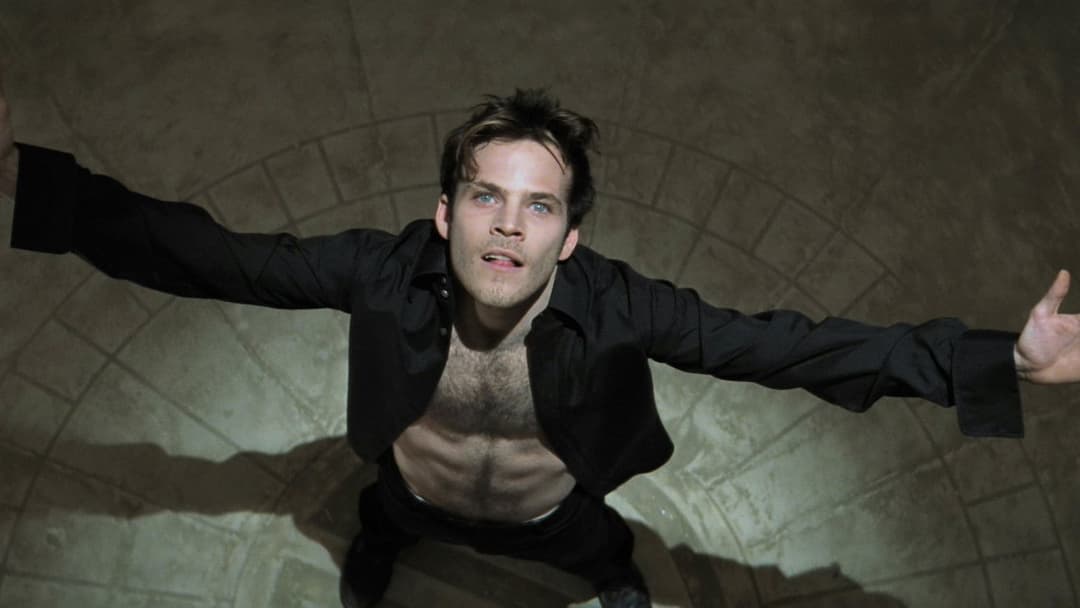 Блейд backdrop 15