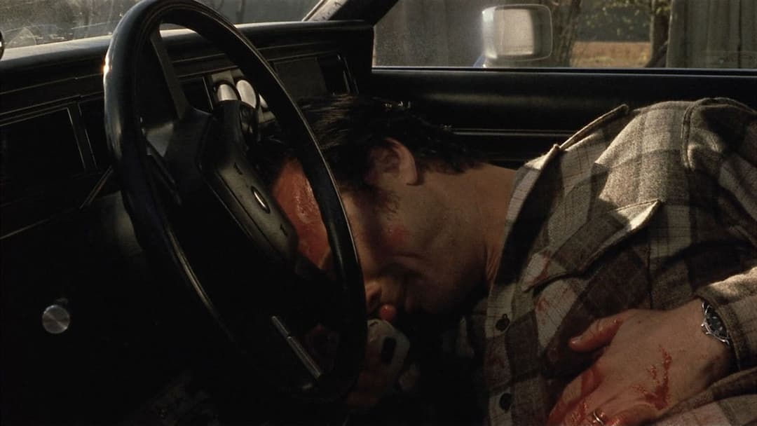 Один хибний хід backdrop 13