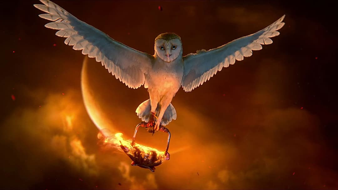 Legend of the Guardians: The Owls of Ga'Hoole backdrop 10