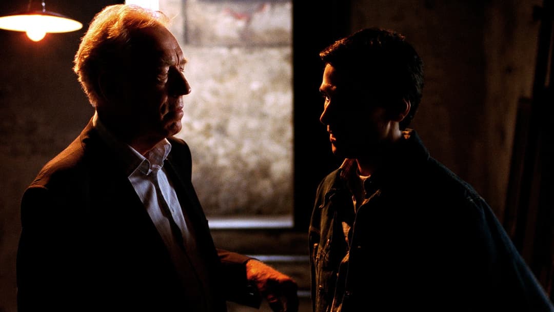 Sleepless backdrop 12