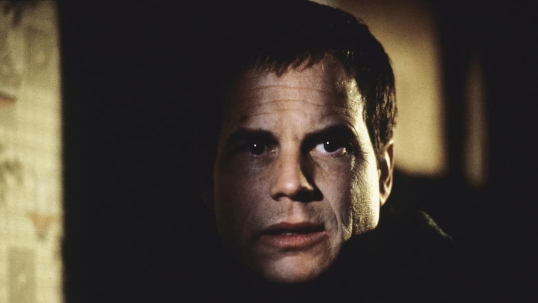 A Simple Plan backdrop 16