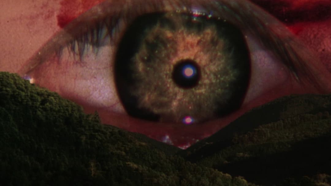 Rhapsodie im August backdrop 1