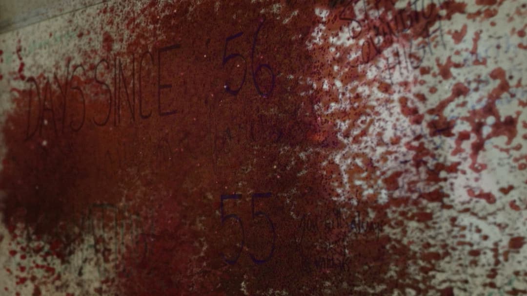 Спонтаннiсть backdrop 8