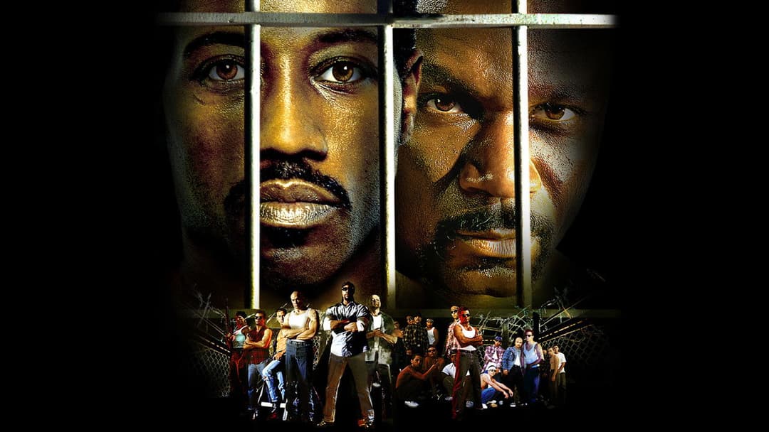 Undisputed backdrop 7