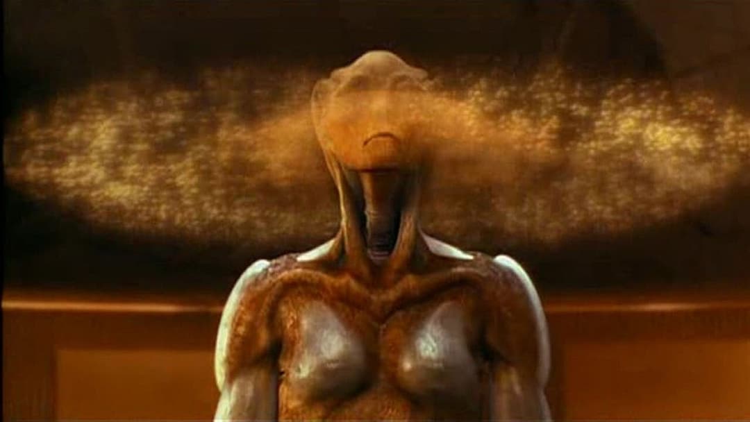 Прибуття backdrop 8