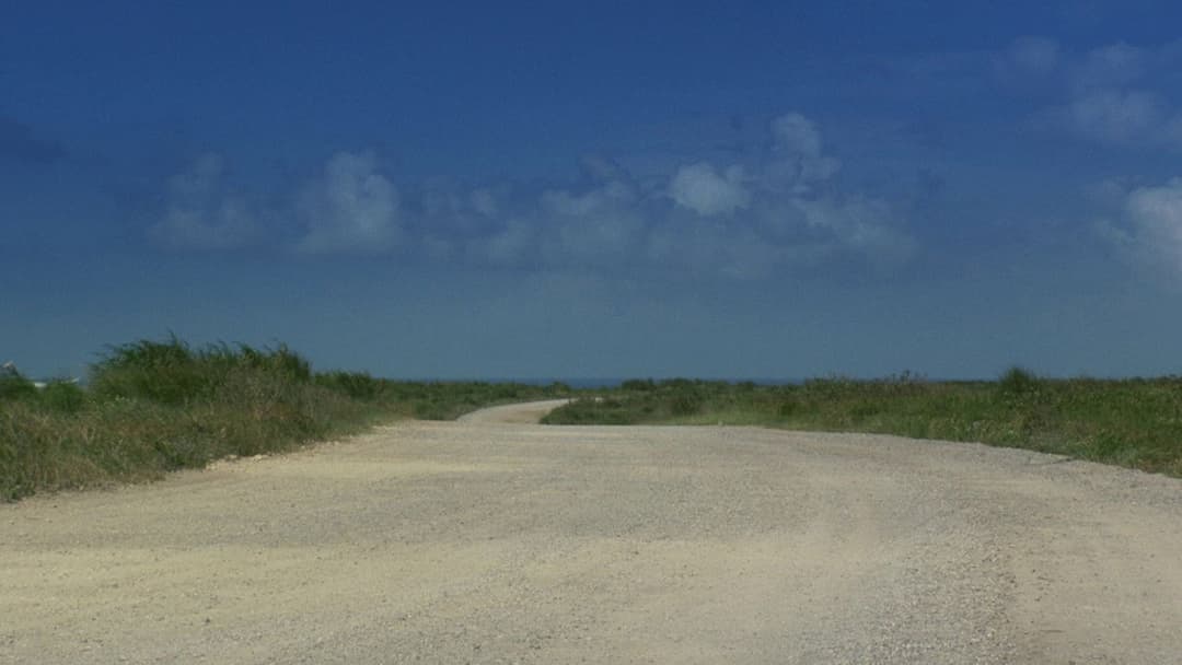 Сонатіна backdrop 14