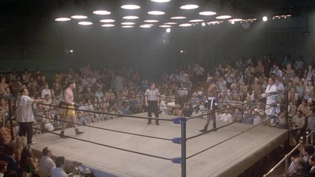 Поєдинок у Діггстауні