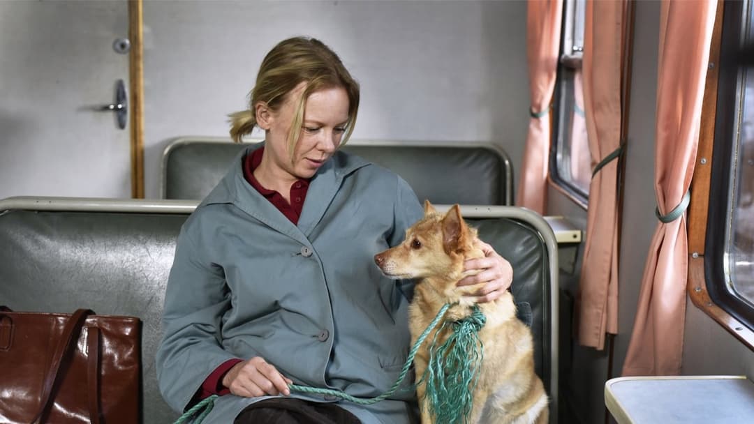 Опале листя backdrop 6