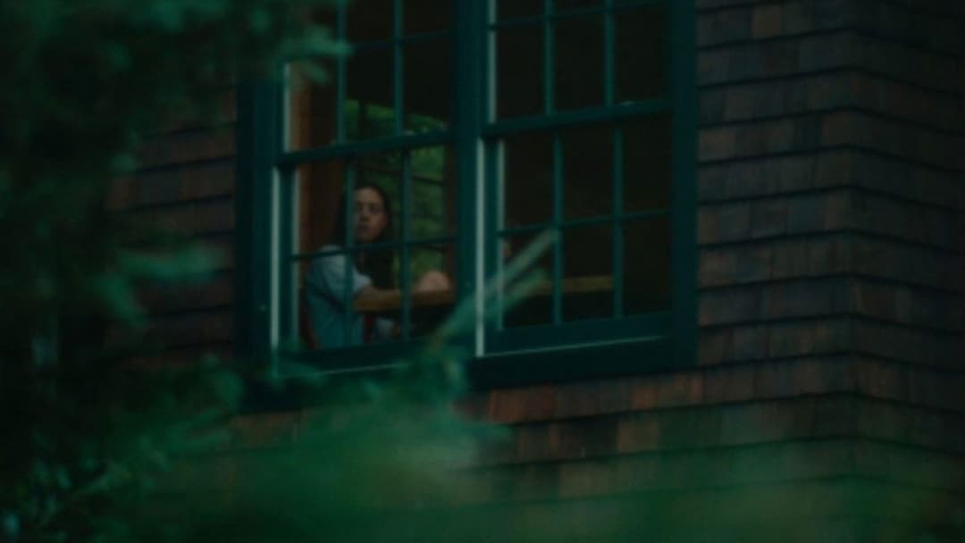 Black Bear backdrop 10